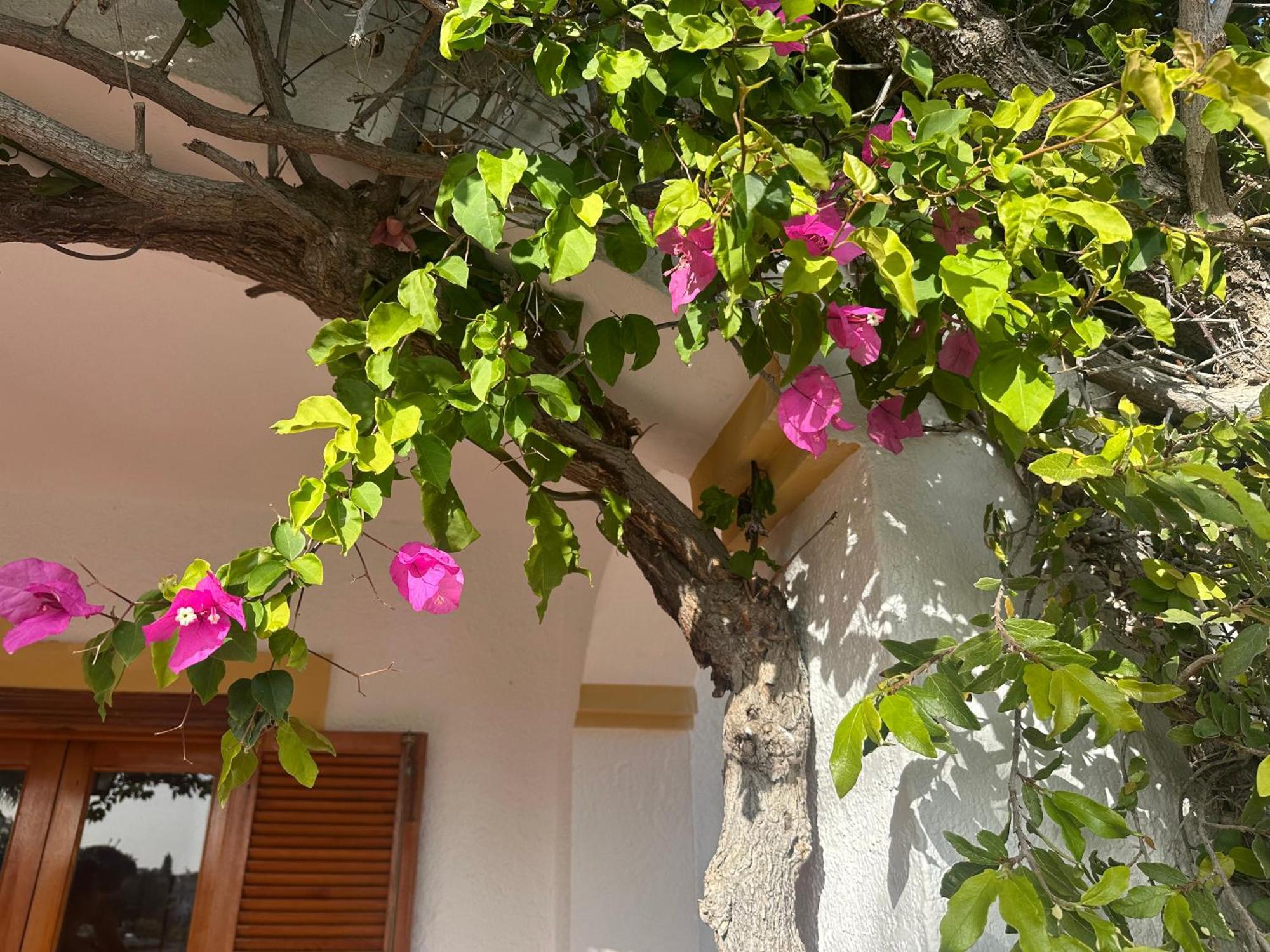 Casa Hermosa Mijas Ngoại thất bức ảnh